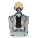 Little Anne Light QCPR 2023
