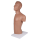 Erler-Zimmer NG & Tracheostomie Torso, lebensgroß