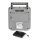 Reanibex 100 AED
