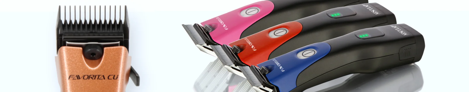 Banner-Favorita-DesktopBronze.webp