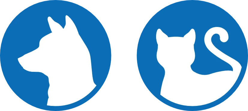Icons-Hund-Katze.webp