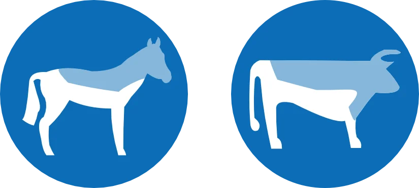 Icons-Pferd-Rind.webp