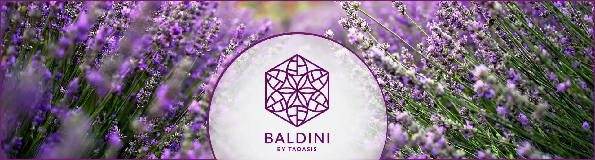 Banner mit Baldini Logo mit Lavendel