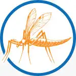 Icon-Mücke
