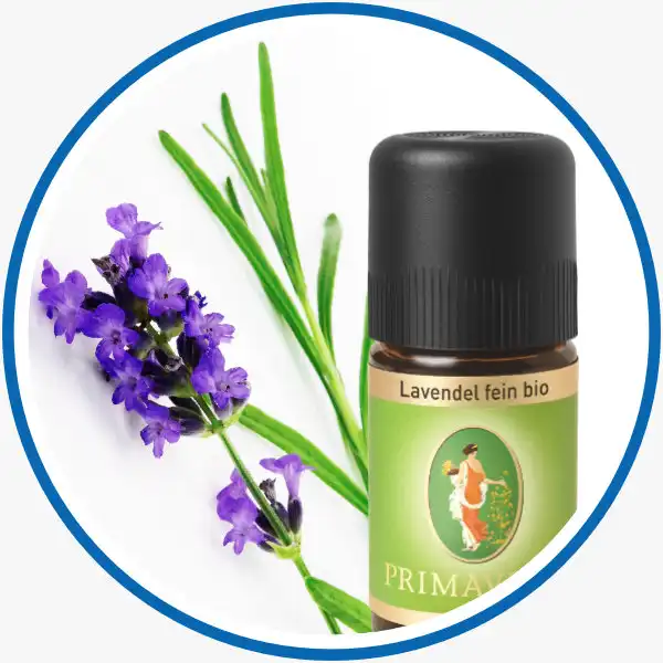 Lavendel und Lavendelöl