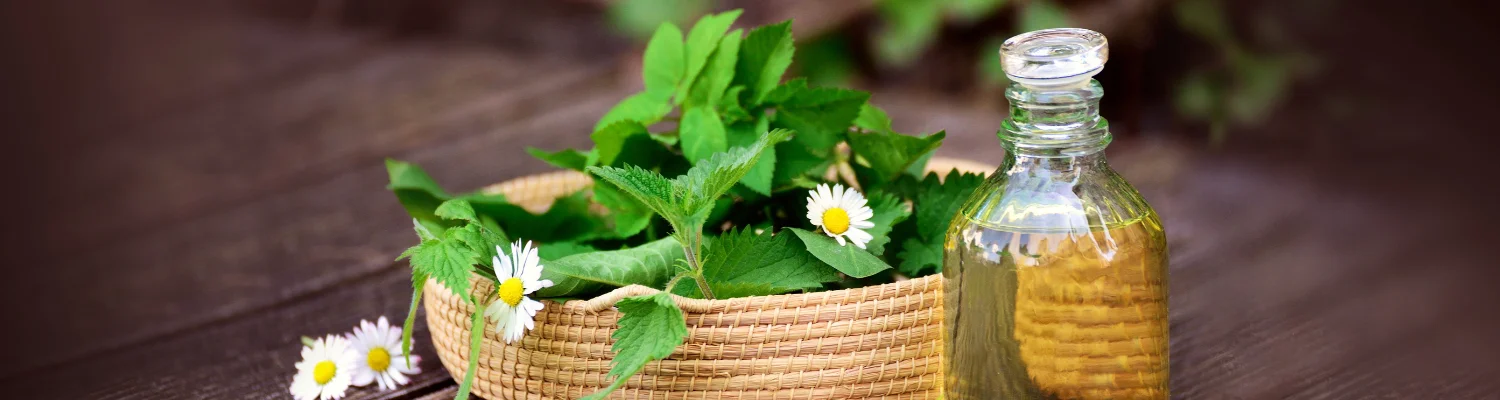 Banner, Korb mit Kräutern und Ölfläschchen