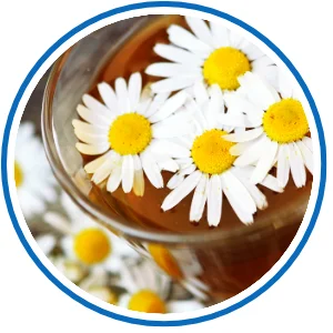 im Glas schwimmende Blumen