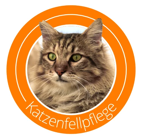 Icon-Bild Katze, Text: Katzenfellpflege