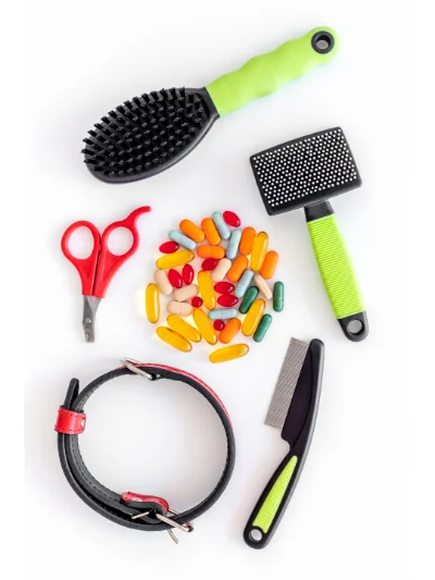 Utensilien zur Hundepflege und Tabletten