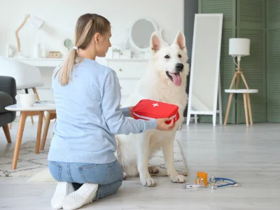 Frau hockt vor Hund mit Erste-Hilfe-Tasche