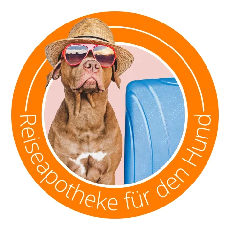 Icon-Bild Hund mit Sonnenbrille und Strohhut neben Koffer, Text: Reiseapotheke für den Hund