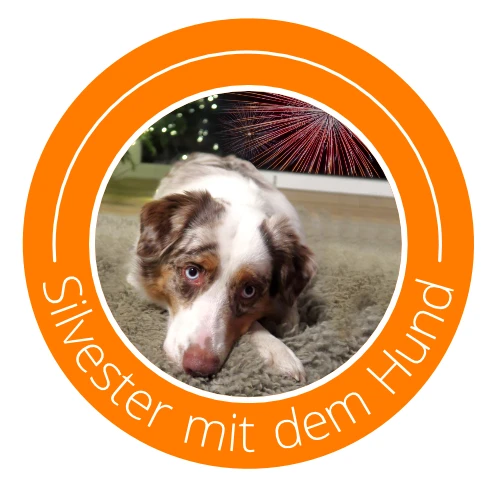 Icon-Bild Hund und Feuerwerk, Text: Silvester mit dem Hund