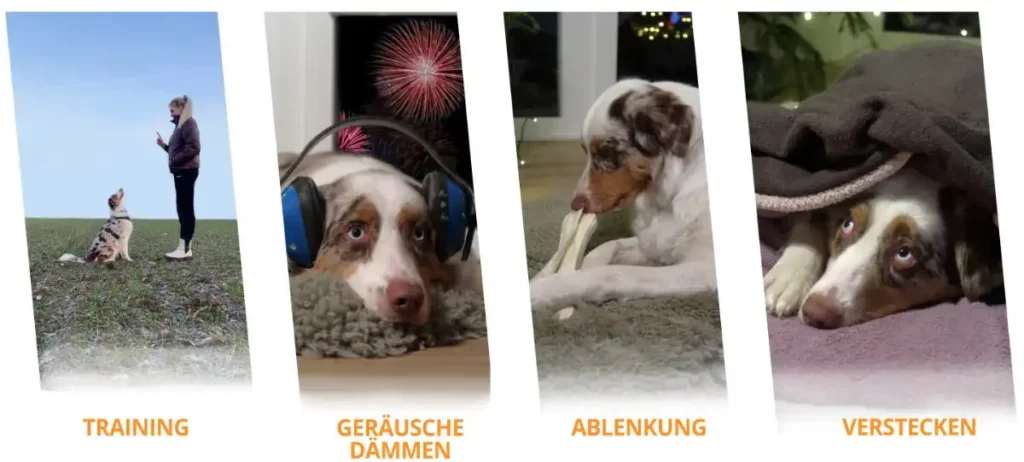 viergeteiltes Bild: Hund draußen, Hund mit Kopfhörern, Hund mit Spielzeug, Hund versteckt sich, Text: Training, Geräusche Dämmen, Ablenkung, Verstecken